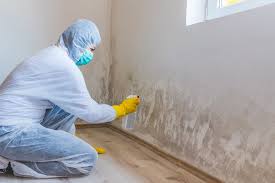 Myrtletown, CA Mold Removal Company