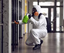 Best Biohazard Mold Removal in Myrtletown, CA